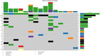 Genomic landscape in Saudi patients with hepatocellular carcinoma using whole-genome sequencing: a pilot study
